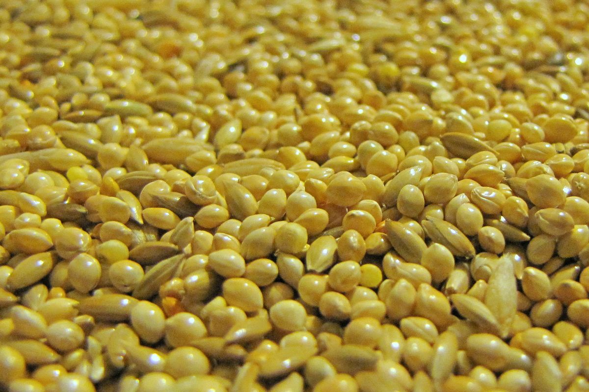 Soaking and Cooking Lentils, Beans and Millets